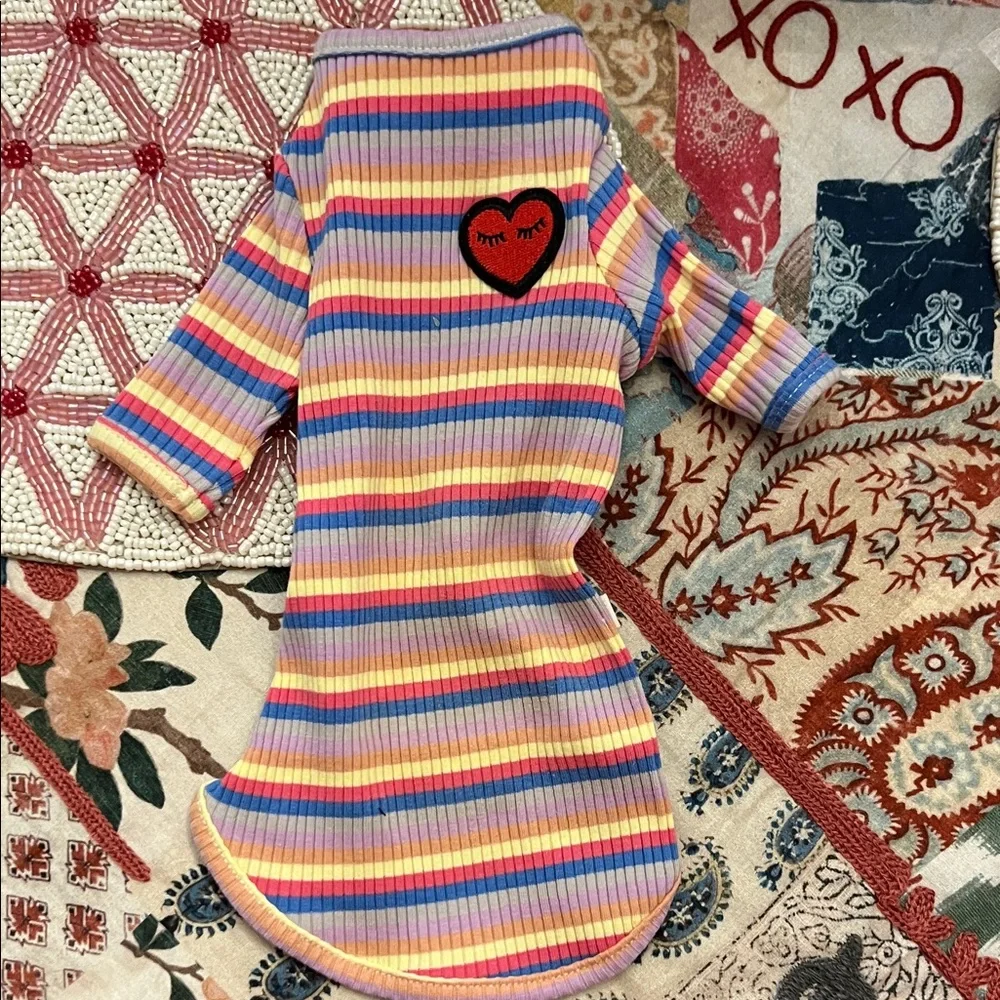 Sphynx Cat 🐈 Sweater with Heart Patch